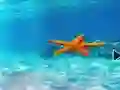 游戏Escape From Underwater Starfish在线