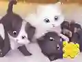游戏Jigsaw Puzzle: Playing Cats在线