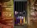 游戏Hidden Cat Escape在线