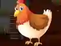 游戏Cute Brahma Chicken Escape在线