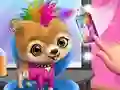 游戏 Rock Star Animal Hair Salon在线