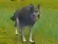 游戏The Wolf: Wild Animal Simulator在线