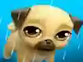 游戏My Virtual Pet Louie the Pug在线