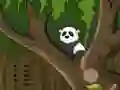 游戏Panda Jungle Escape在线