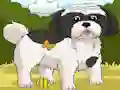 游戏Dogs Spot the Diffs Part 2在线