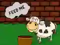 游戏Find The Cow Feed在线