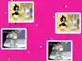 游戏Baby Looney Tunes Match Up在线