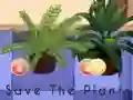 游戏Save the Plants在线