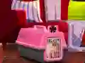 游戏Escape The Small Pug在线