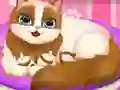 游戏Cute Kitty Pregnant在线
