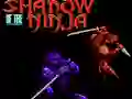 游戏Shadow of the Ninja在线