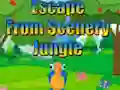 游戏Escape from Scenery Jungle在线