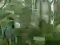 游戏Mystery Garden Escape在线