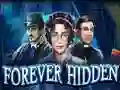 游戏Forever Hidden在线