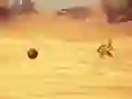 游戏Monkey Shooting在线