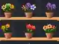 游戏Good Flower Master在线