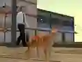 游戏Cat City Simulator在线