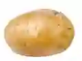 游戏Potato在线