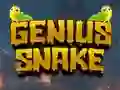 游戏Genius Snake在线