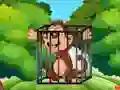 游戏Free the Captive Ape在线