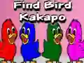 游戏Find Bird Kakapo在线