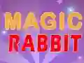游戏Magic Rabbit在线