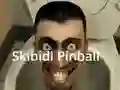 游戏Skibidi Pinball在线