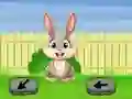 游戏Springtime Escape在线