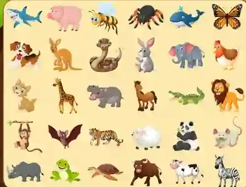 游戏Discover Animals在线