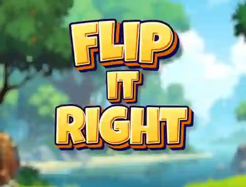 游戏Flip It Right在线