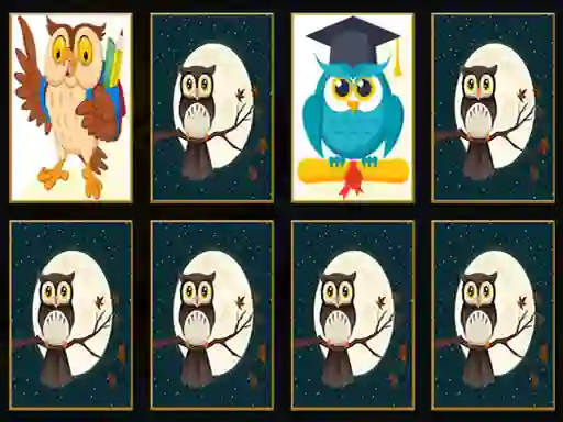 游戏Cute Owl Memory在线