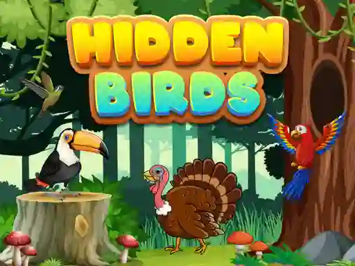 游戏Hidden Birds在线