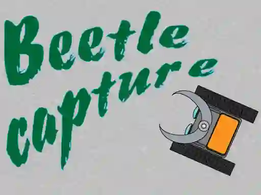 游戏Beetle Capture在线