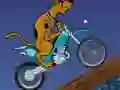 游戏Scooby Doo Trail在线