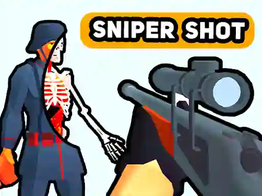游戏Sniper Shot: Bullet Time在线