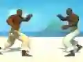 游戏Capoeira fighter在线