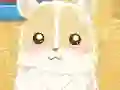 游戏Hamster Love在线