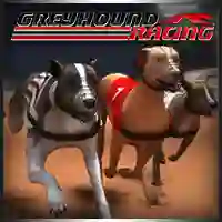 游戏Greyhound Racing在线