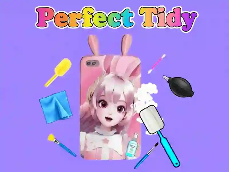 游戏Perfect Tidy在线