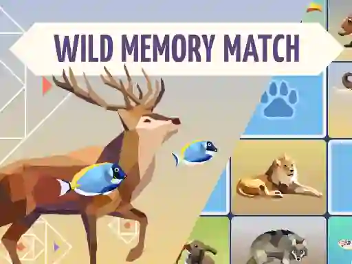 游戏Wild Memory Match在线