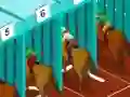 游戏Derby racing在线