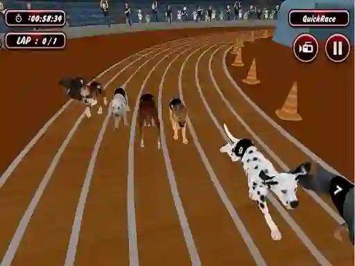 游戏Crazyl Dog Racing Fever在线