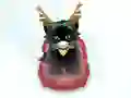 游戏Pet Sledding在线