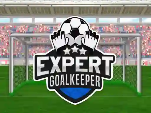 游戏Expert Goalkeeper在线