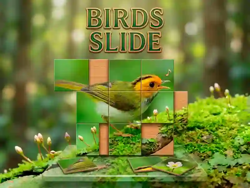 游戏Birds Slide在线