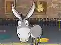 游戏Donkey Gafoor在线
