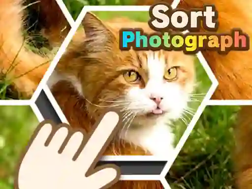 游戏Sort Photograph在线