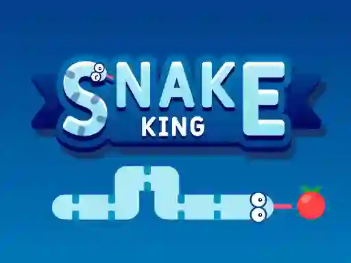 游戏Snake King在线