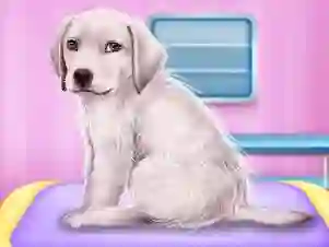 游戏Labrador at the doctor salon在线