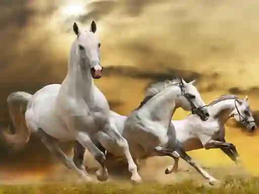 游戏Running Horse Slide在线